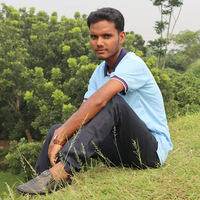 Md Ismail Hossain - Independent Researcher