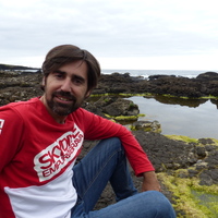 David Castells-Rufas - Universitat Autònoma de Barcelona