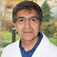 SMJ  Mortazavi, Ph.D related author profile picture