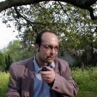 PDF) Prolific peripheries: A radical view from the left ...