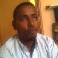 apicultural research papers apicultural research papers