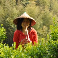 Photo of Shuhua Chen