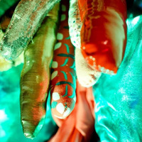 Academia profile picture for @SteadFast