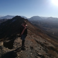 Elisa Iori related author profile picture