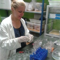 Photo of Jelena Jovanović