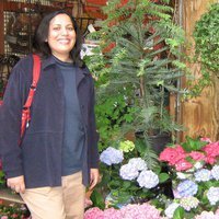 Priya Kumar related author profile picture