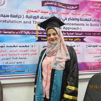 DOC) A Semiotic Analysis of the Literary Translation of Colloquial ...