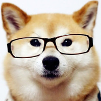 Academia profile picture for @lalita