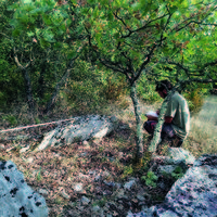 Florent Châteauneuf
