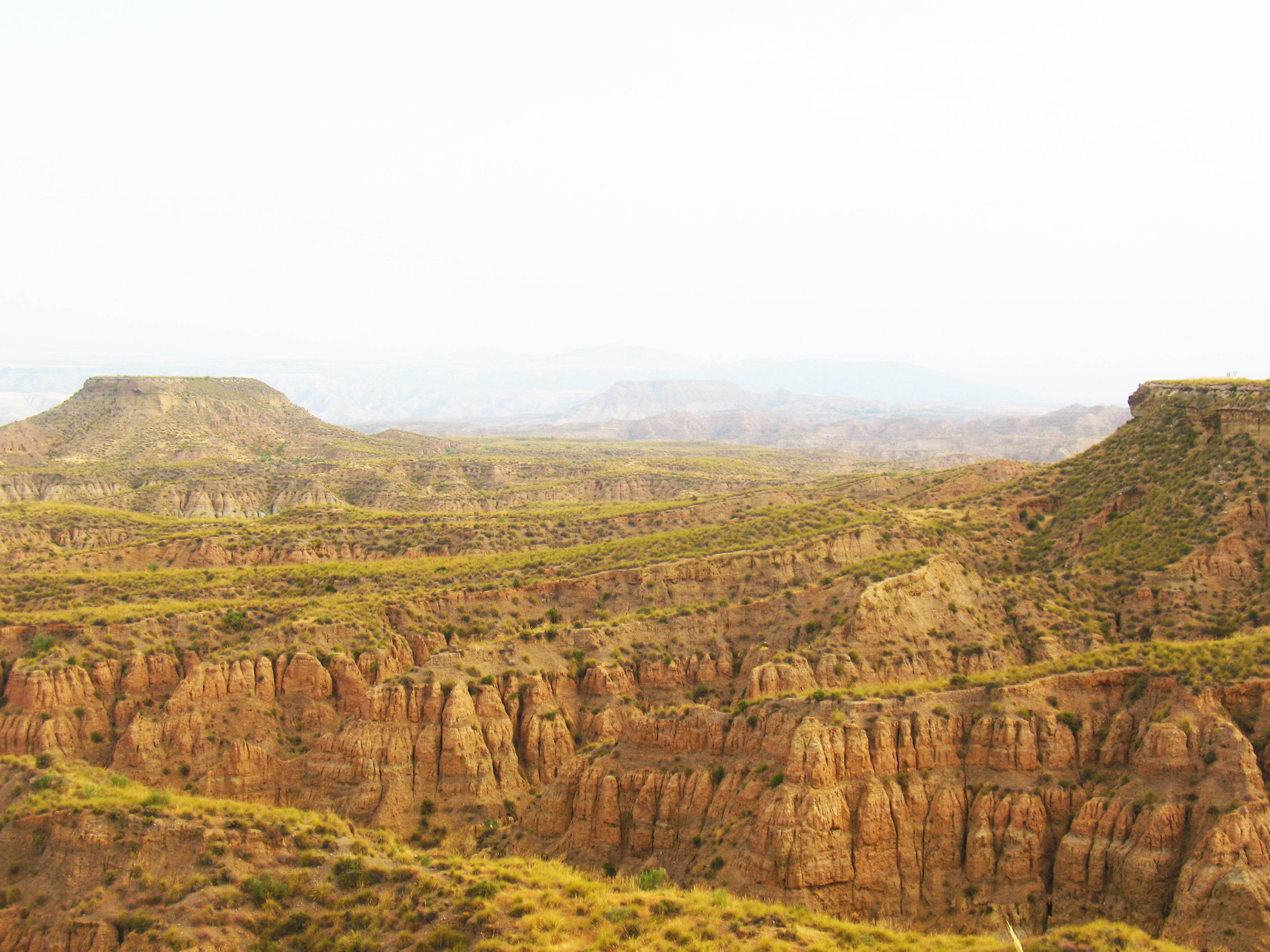 El Tiempo En Cuevas De San Marcos Aemet Programa de Incremento de la Biodiversidad del Ayuntamiento de Guadix  (borrador para consulta pública)/Biodiversity Conservation Program in  Guadix (Andalusia, Spain): draft for public consultation | Jose Antonio  Garrido García - Academia.edu