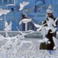 Photo of Dinara Mardanova