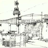 Diana Forker related author profile picture