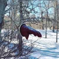 Photo of Matthew Croombs