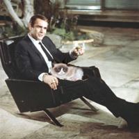 PDF) A Journalist for Me: Reassessing Egon Erwin Kisch's ...