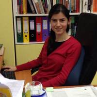 zeynep inan aliyazıcıoğlu related author profile picture