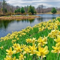   Lady Carlyle tea “set” PDF) Strategic Management Concepts and Cases Competitiveness and