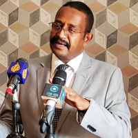 Mohamed Ateia A Elhabib - Independent Researcher