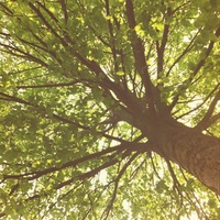 Amelia Acadia University Academia.edu