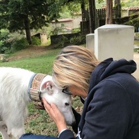 Pdf P Fronzaroli A Catagnoti The Mi Sa Ga Tim Rite At Ebla Amalia Catagnoti Academia Edu