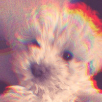Academia profile picture for @chateau