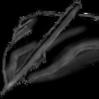 Academia profile picture for @Trinidad