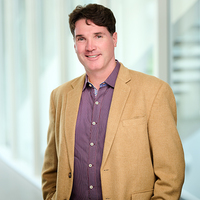 PDF) A Natural History of the Emirates