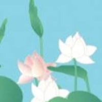 Prakash Kumar related author profile picture