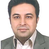 Omid  Pournik related author profile picture