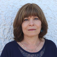 Adina Bar El Academia Edu