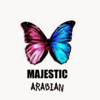 Academia profile picture for @MAJESTIC