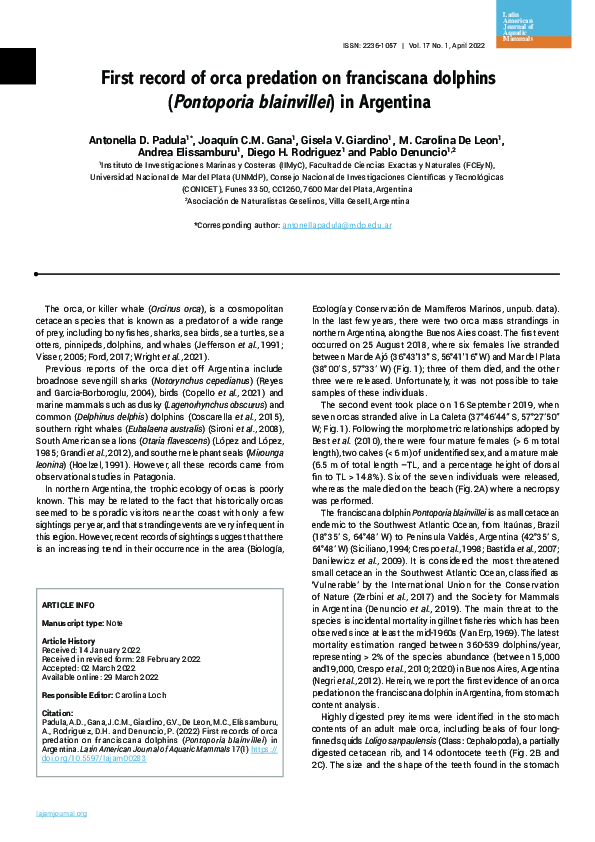 (PDF) First record of orca predation on franciscana dolphins ...
