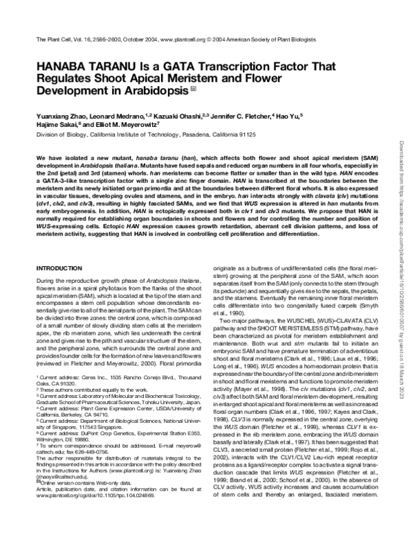 (PDF) HANABA TARANU Is a GATA Transcription Factor That Regulates Shoot ...