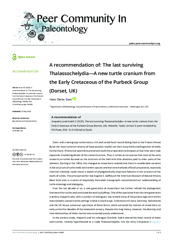 (PDF) A recommendation of: The last surviving Thalassochelydia—A new ...