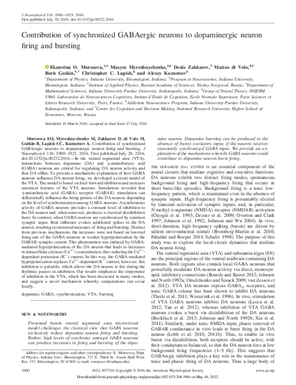(PDF) Contribution of synchronized GABAergic neurons to dopaminergic ...