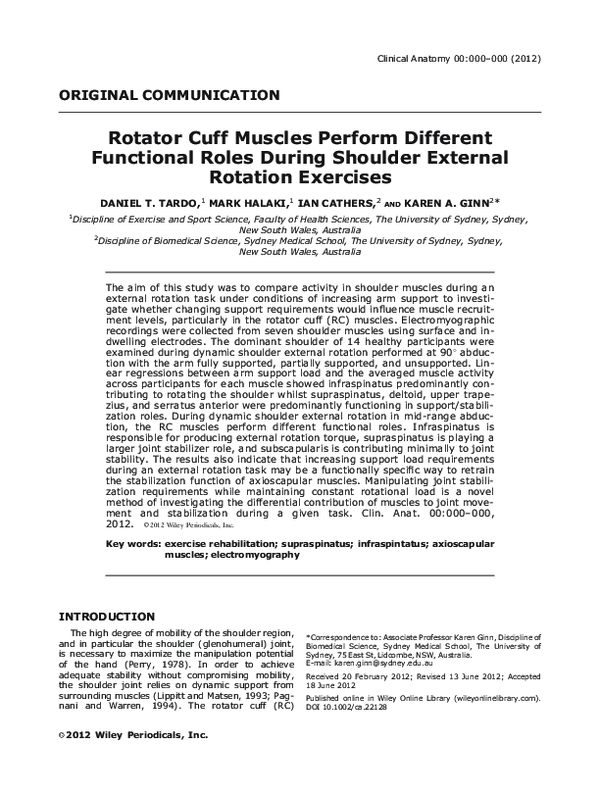 Shoulder External Rotation Exercises