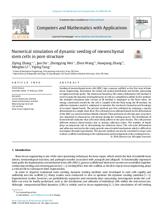(PDF) Numerical simulation of dynamic seeding of mesenchymal stem cells ...