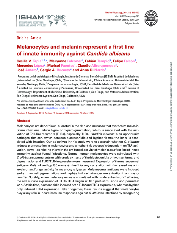 (PDF) Melanocytes and melanin represent a first line of innate immunity ...