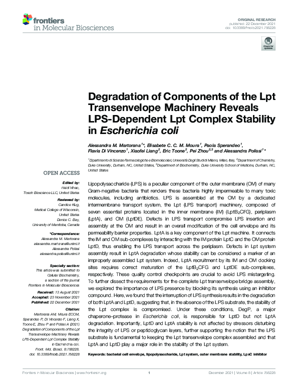 (PDF) Degradation of Components of the Lpt Transenvelope Machinery ...