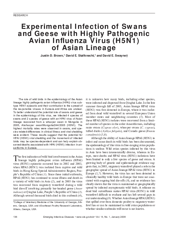 (PDF) Experimental Infection of Swans and Geese with Highly Pathogenic ...