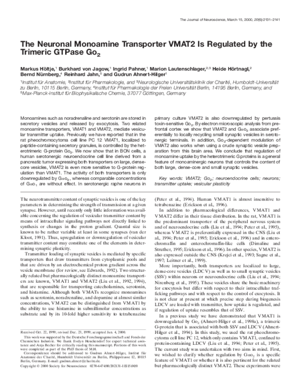 (PDF) The Neuronal Monoamine Transporter VMAT2 Is Regulated by the ...