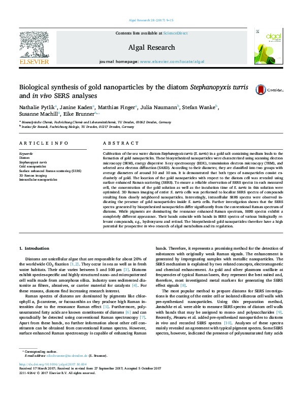 (PDF) Biological synthesis of gold nanoparticles by the xylotrophic ...