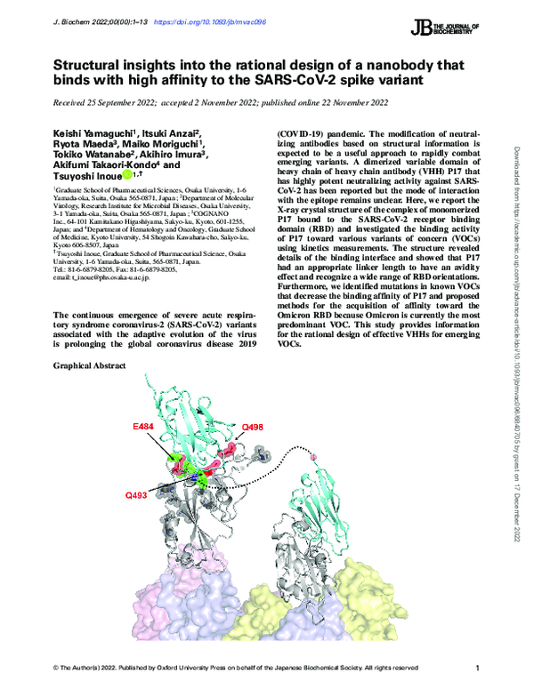 (PDF) Structural insights into the rational design of a nanobody that ...