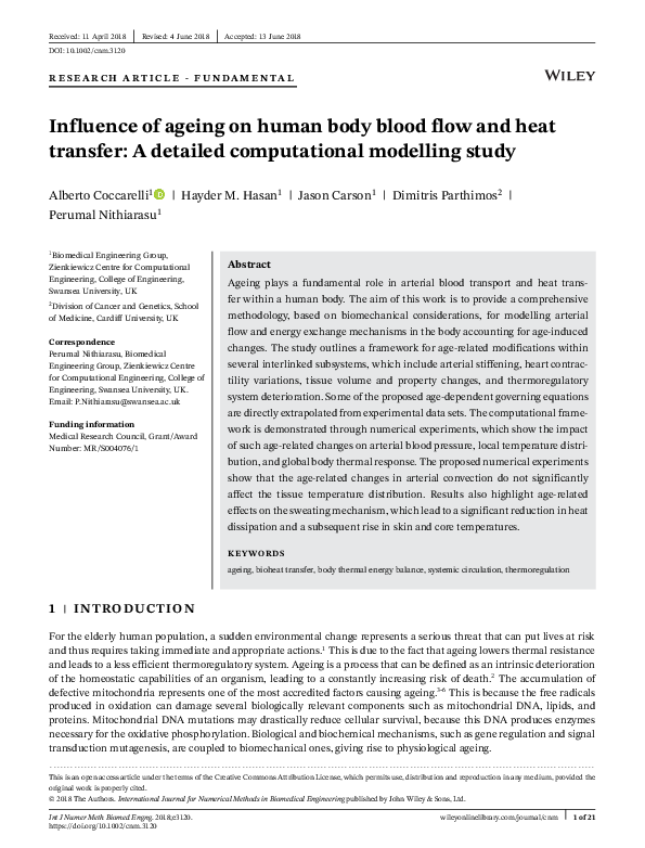 (PDF) Influence of ageing on human body blood flow and heat transfer: a ...