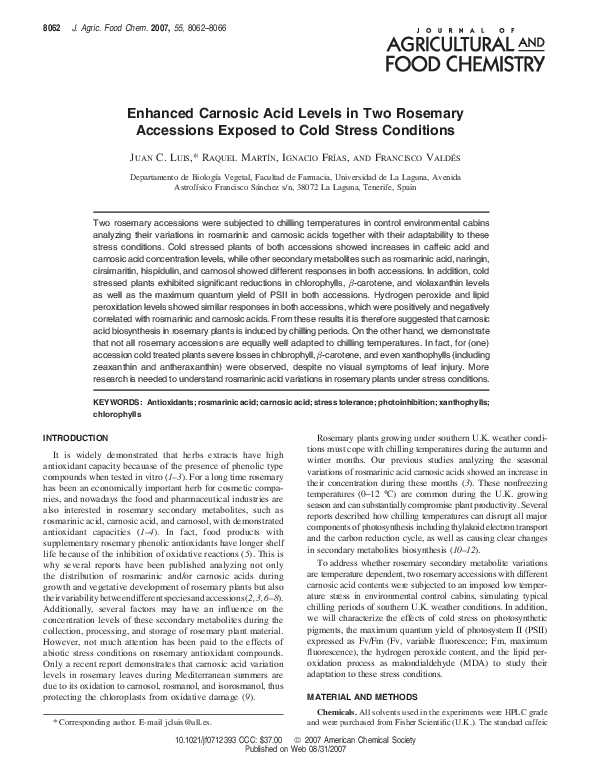 Carnosic Acid & More: Unveiling the Scientific Tapestry of Rosemary's Protective Legacy
