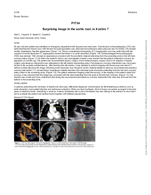 (PDF) P1734 Surprising image in the aortic root, is it zebra