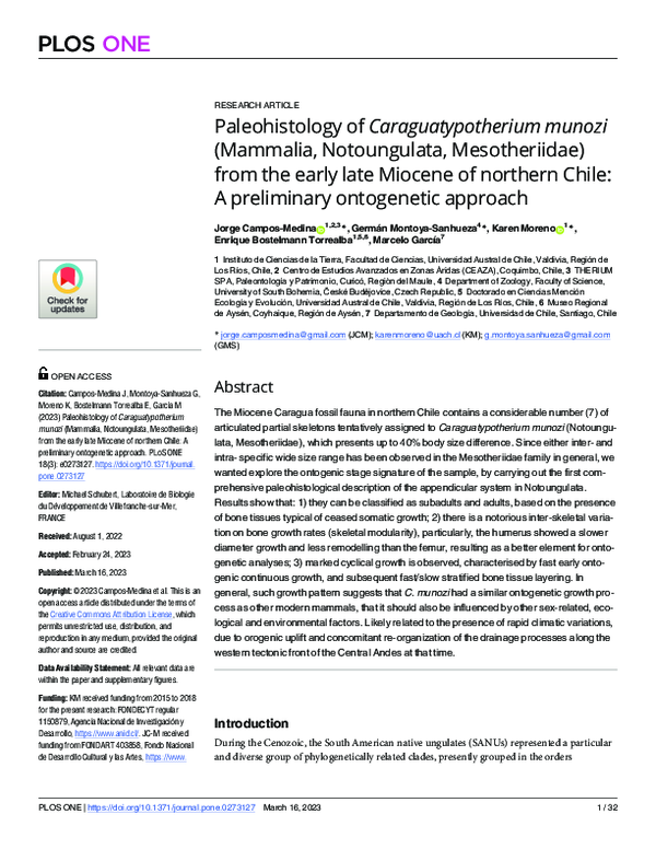 (PDF) Paleohistology of Caraguatypotherium munozi (Mammalia