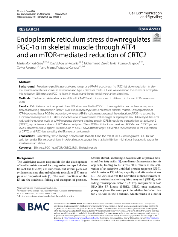 (PDF) Endoplasmic reticulum stress downregulates PGC-1α in skeletal ...