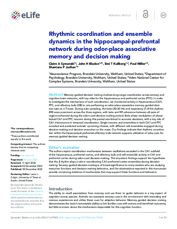 (PDF) Rhythmic coordination and ensemble dynamics in the hippocampal ...