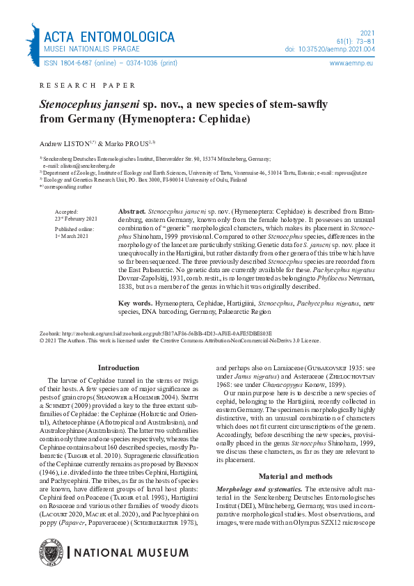 (PDF) Stenocephus janseni sp. nov., a new species of stem-sawfly from ...