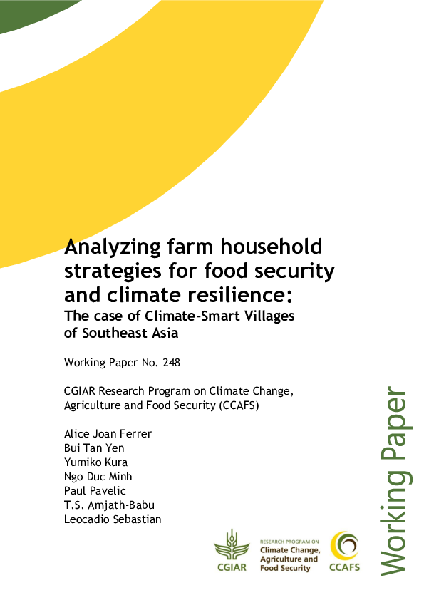 (PDF) Analyzing farm household strategies for food security and climate ...